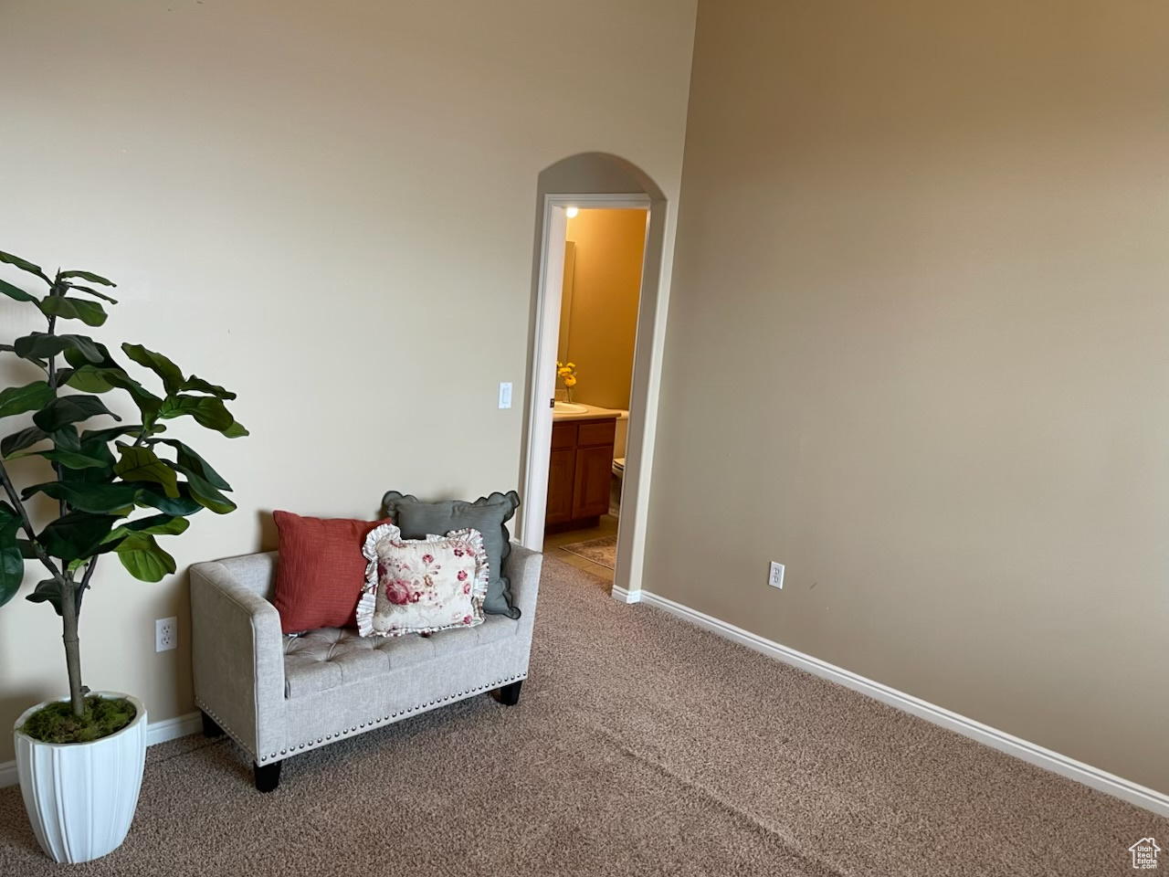 Sitting room featuring carpet flooring