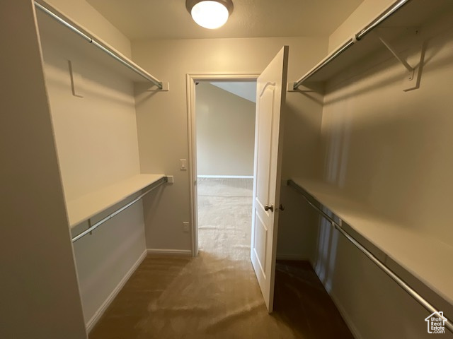 Walk in closet featuring carpet flooring