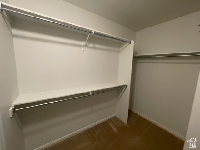 Walk in closet featuring dark hardwood / wood-style floors