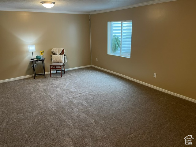 Unfurnished room with carpet flooring and crown molding