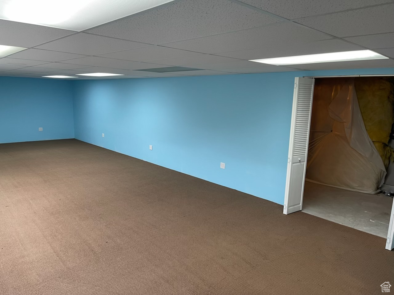 Basement featuring carpet flooring and a drop ceiling