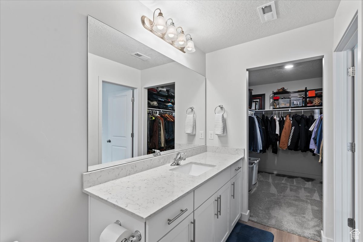 Bathroom featuring vanity, wood-type flooring, and a textured ceiling