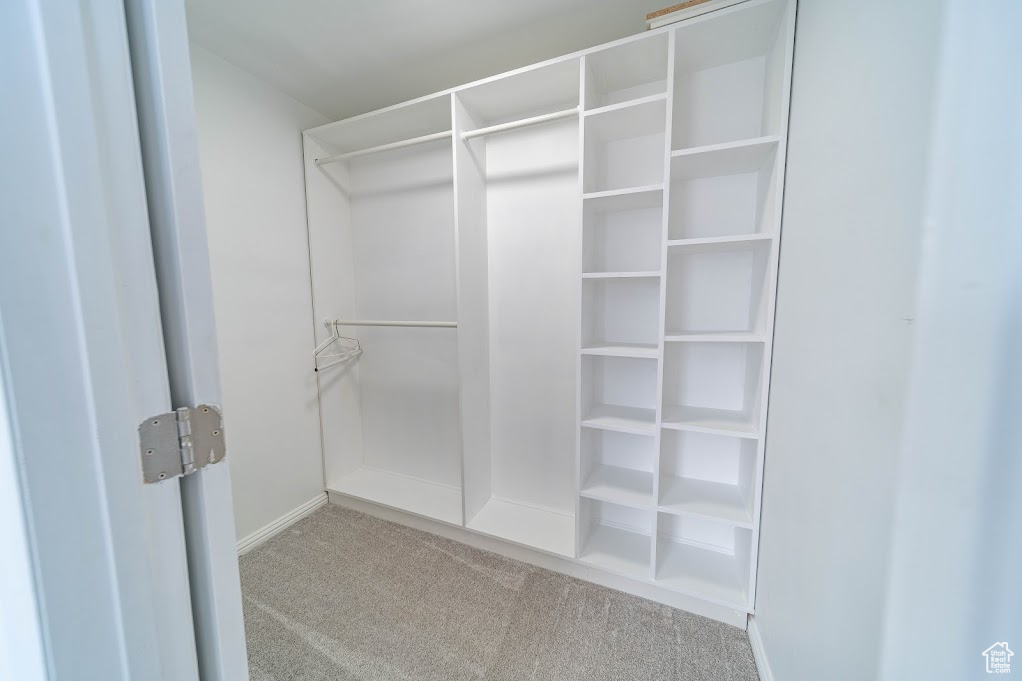 Spacious closet with carpet