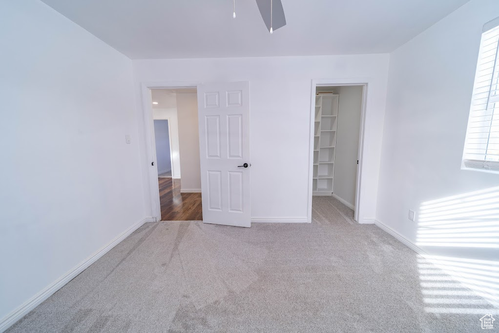 Unfurnished bedroom featuring carpet flooring, a walk in closet, ceiling fan, and a closet