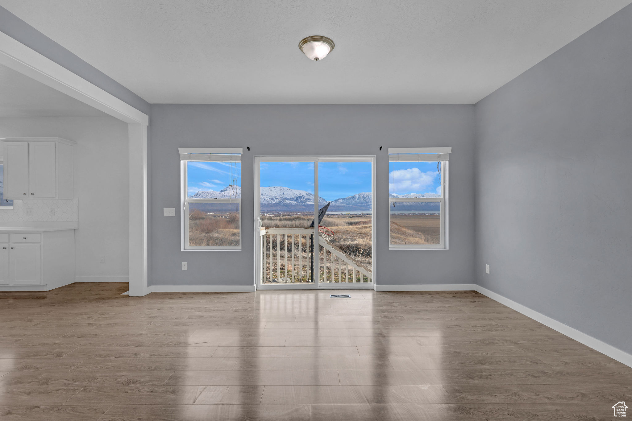 Empty room with a mountain view, a healthy amount of sunlight, and light hardwood / wood-style flooring