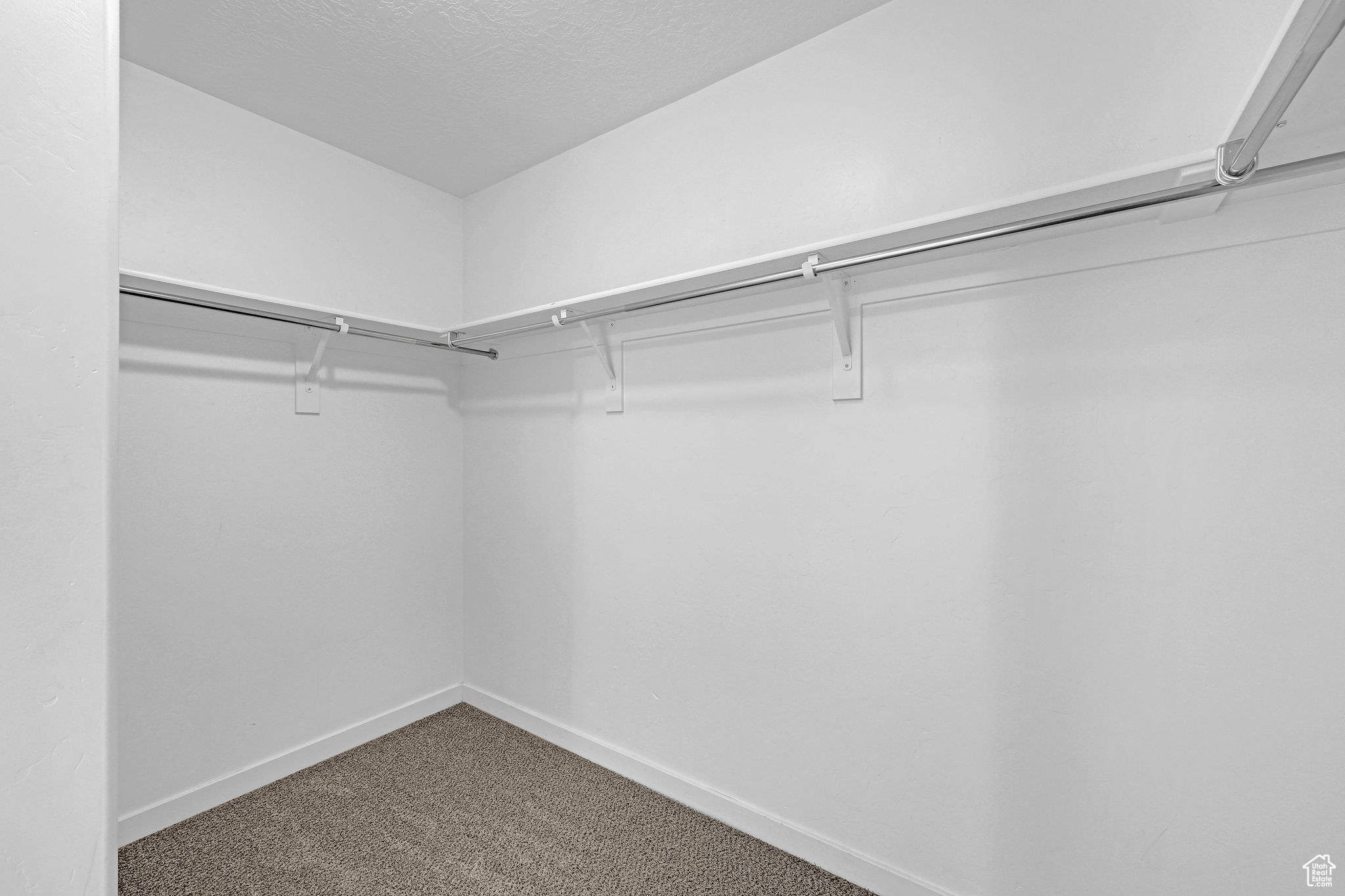 Walk in closet featuring carpet flooring