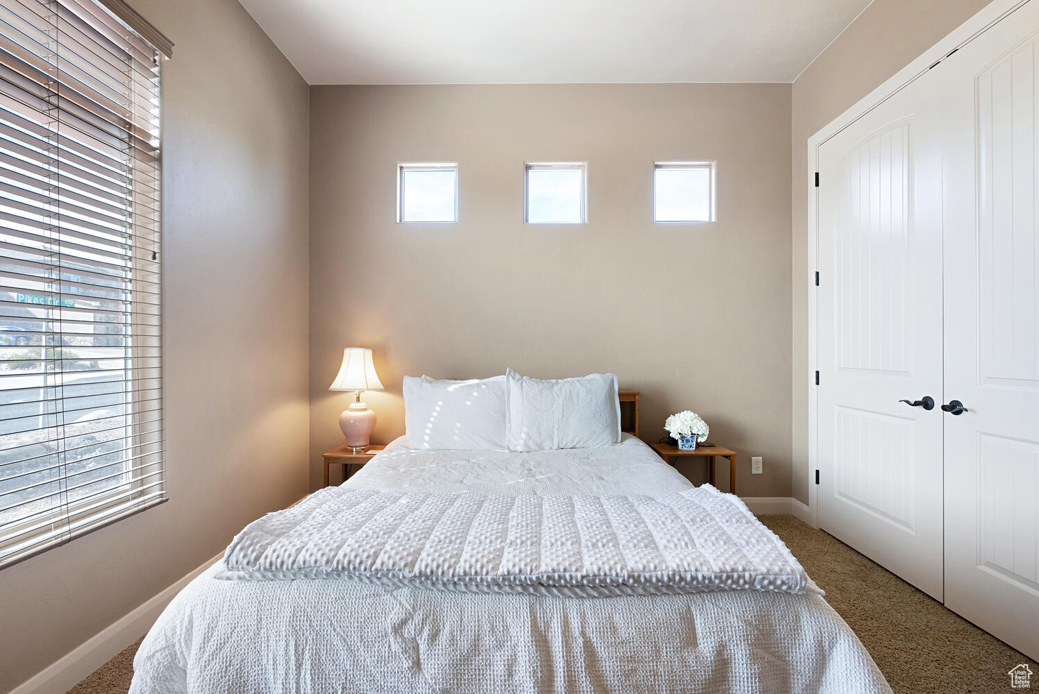 Bedroom featuring multiple windows and carpet