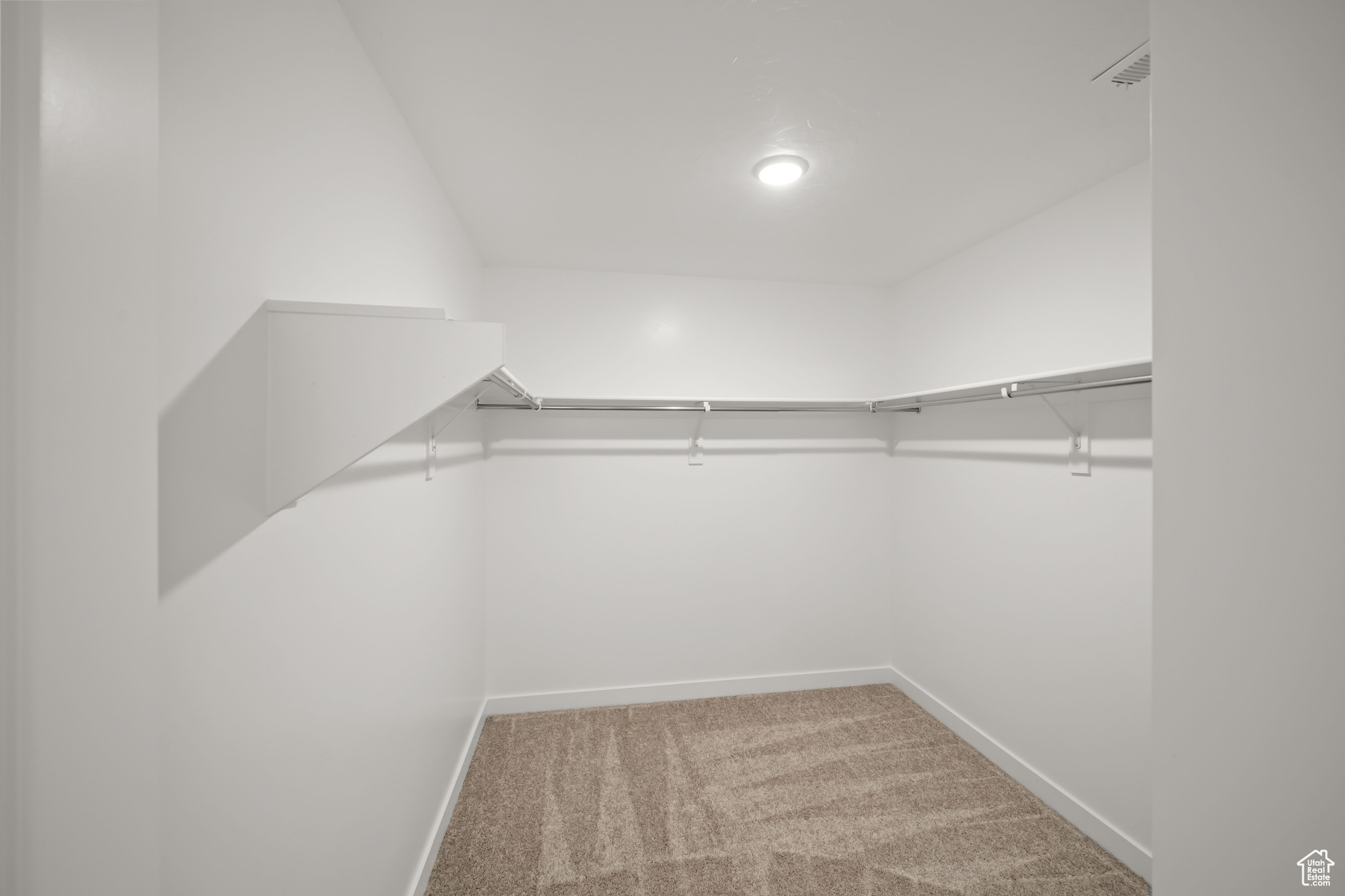 Walk in closet featuring carpet