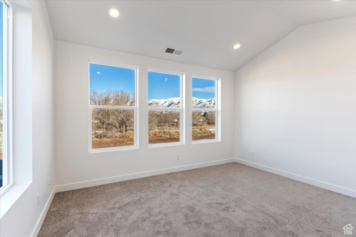 Empty room with carpet and lofted ceiling