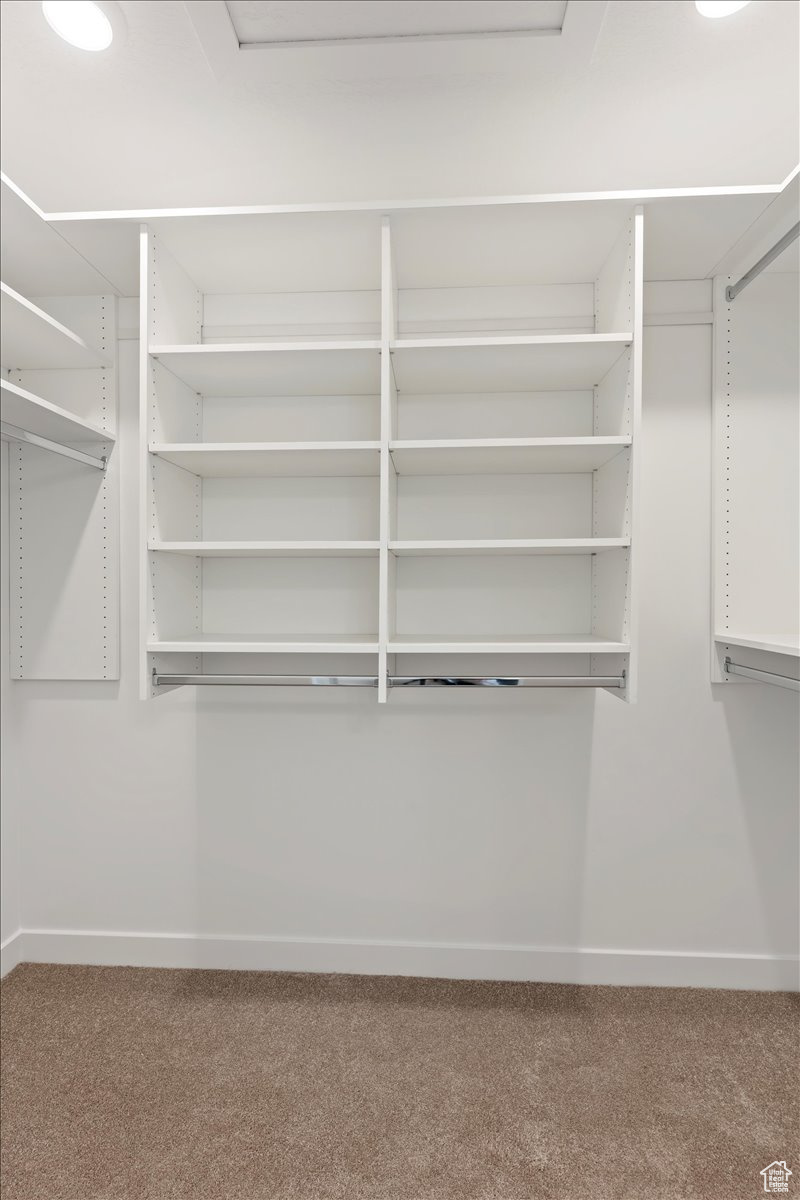 Spacious closet featuring carpet floors