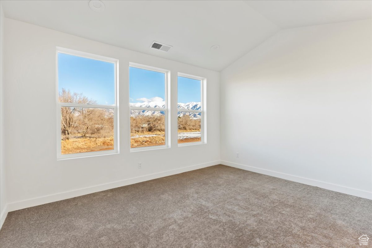 Carpeted spare room featuring lofted ceiling