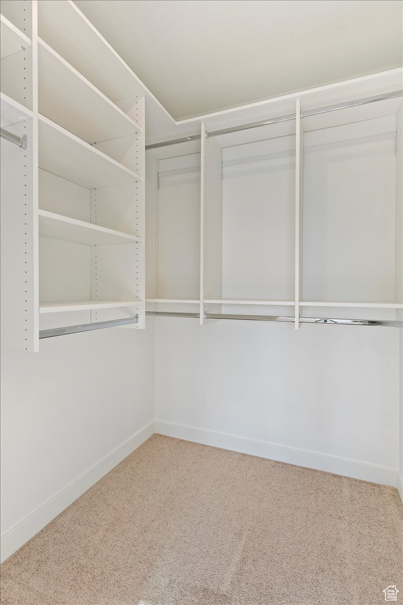 Spacious closet with carpet flooring