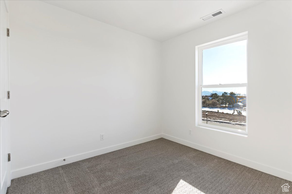 Carpeted spare room with plenty of natural light