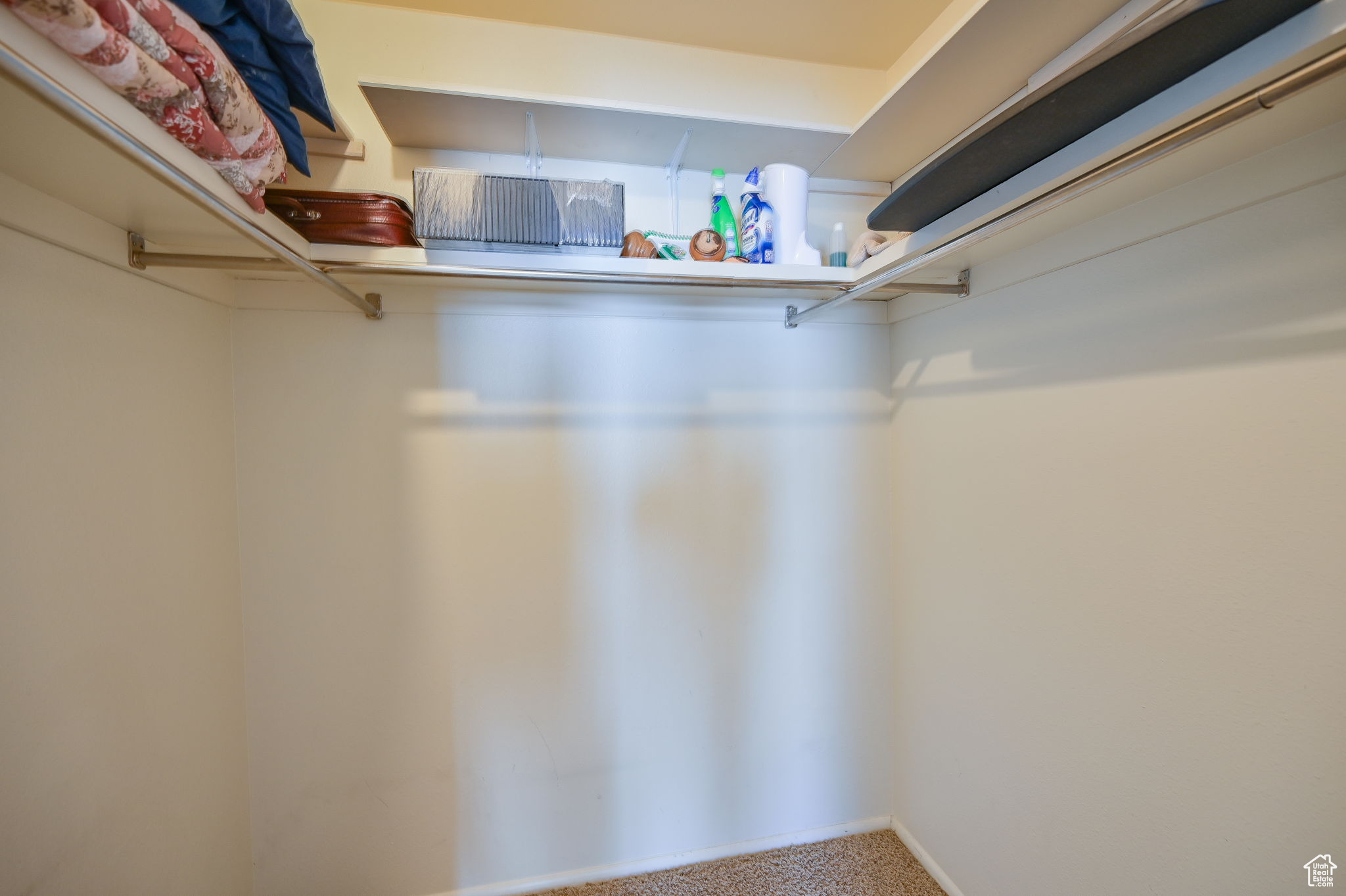 Walk in closet featuring carpet floors