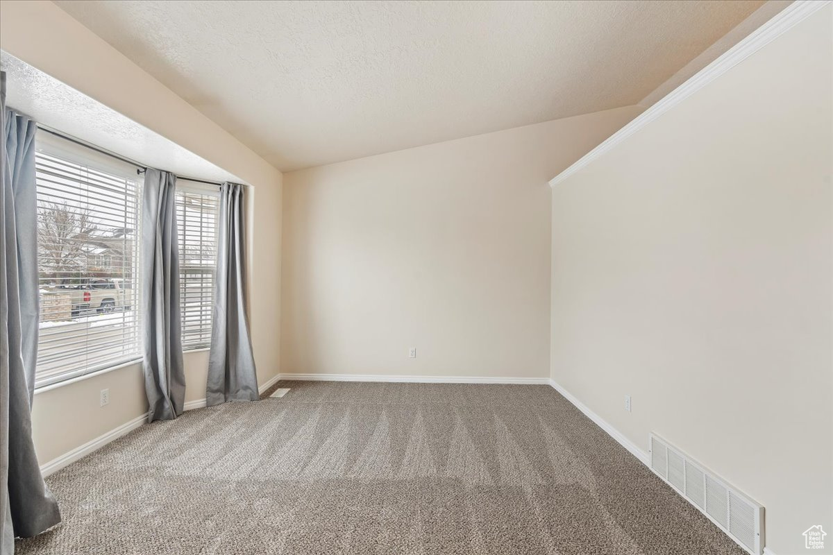 Carpeted spare room featuring a textured ceiling