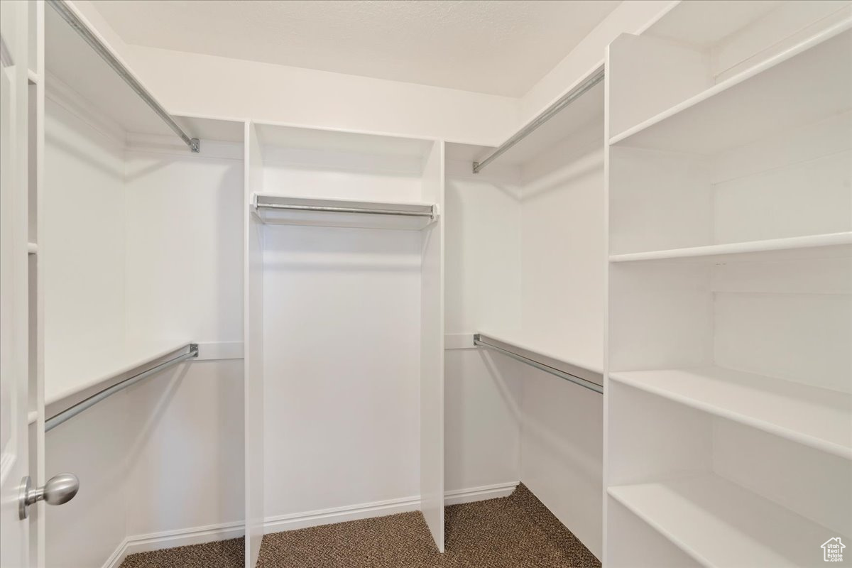 Walk in closet with carpet flooring