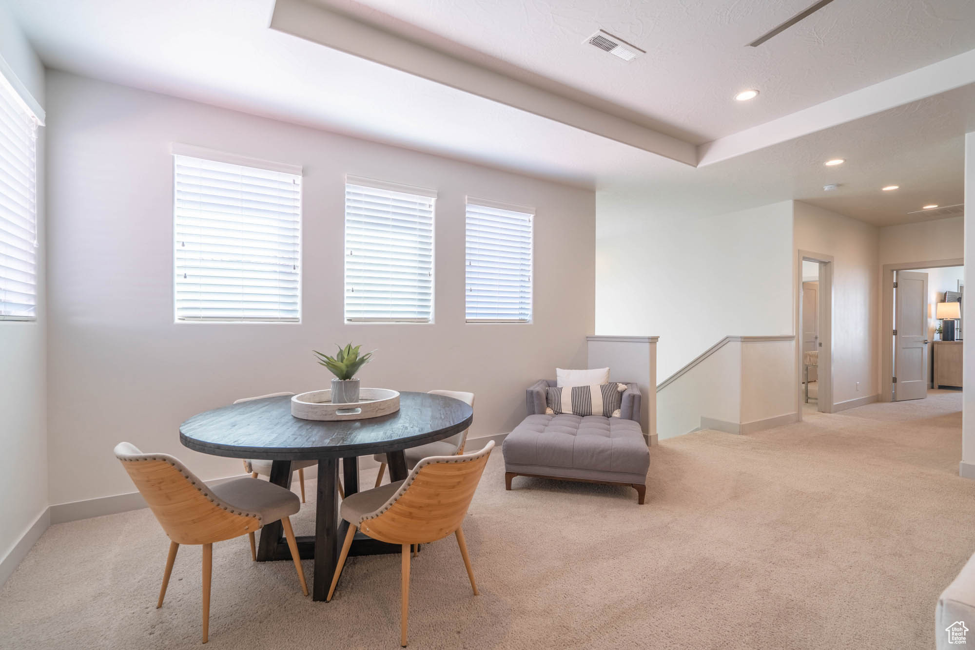 Carpeted dining room with plenty of natural light