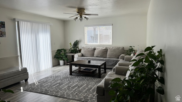 Living room with hardwood / wood-style floors and ceiling fan