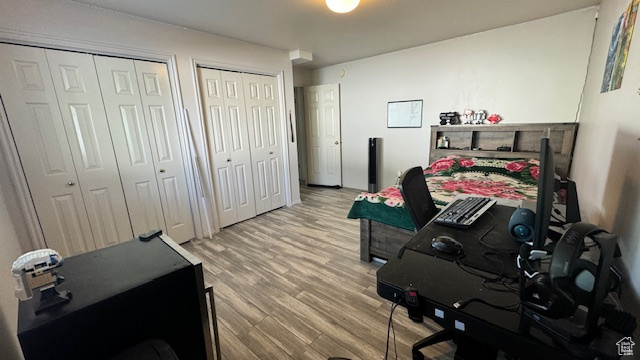 Bedroom with two closets and hardwood / wood-style flooring