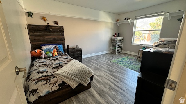 Bedroom with wood-type flooring