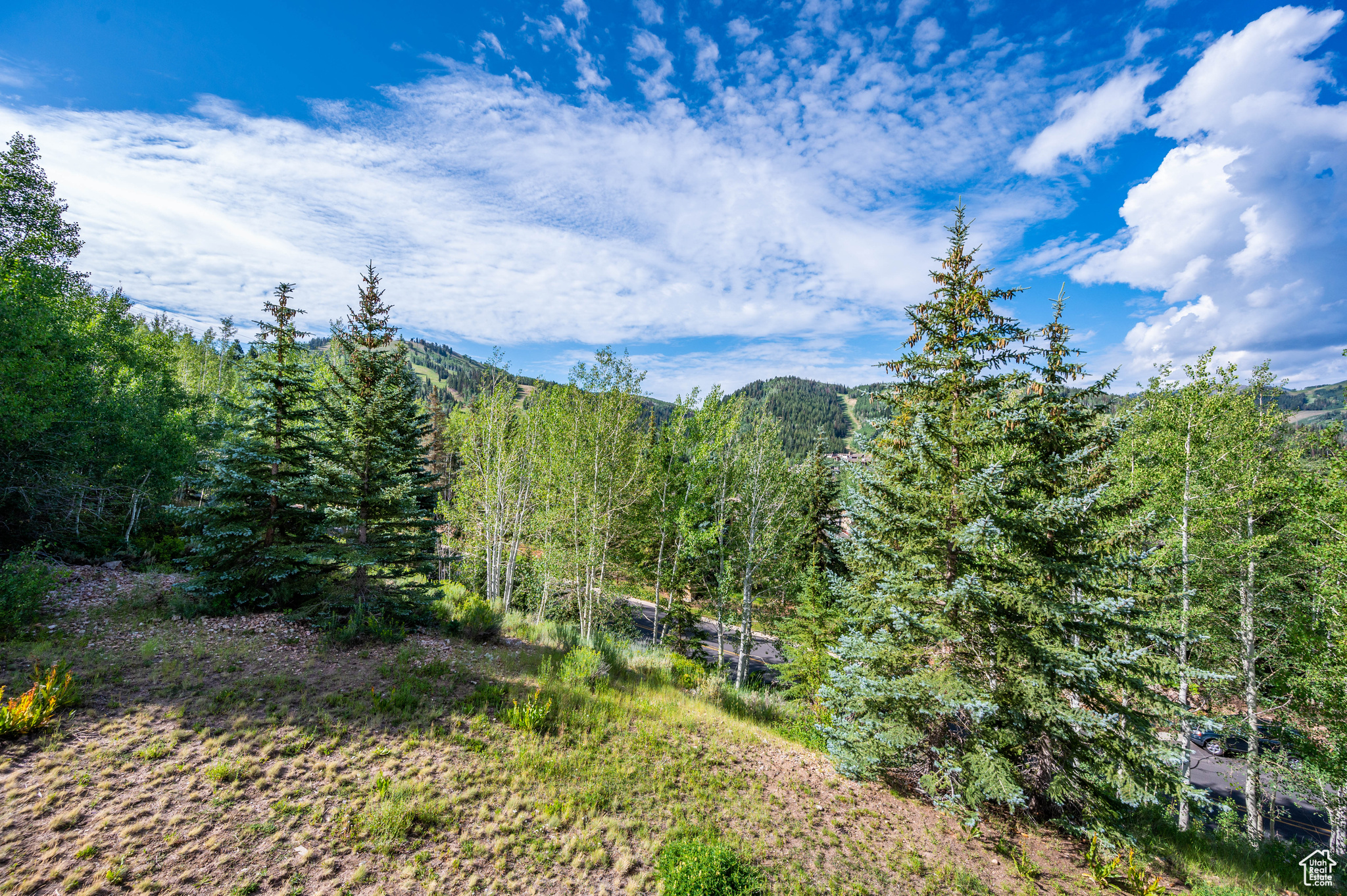 Property view of mountains