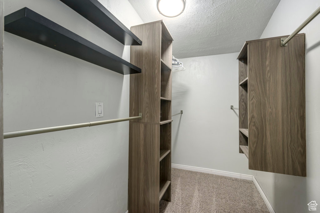 Spacious closet featuring carpet floors