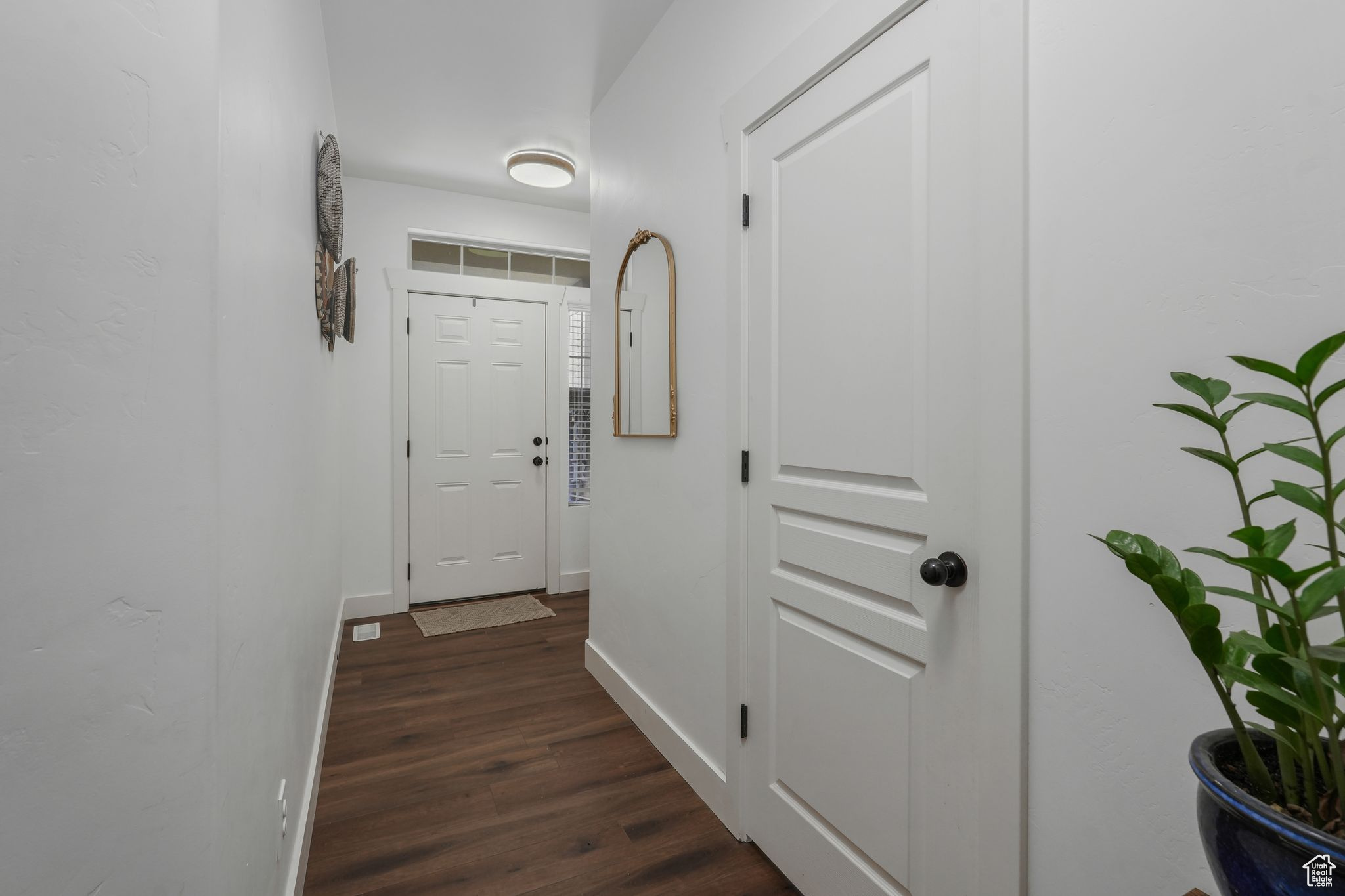 Hall featuring dark hardwood / wood-style floors