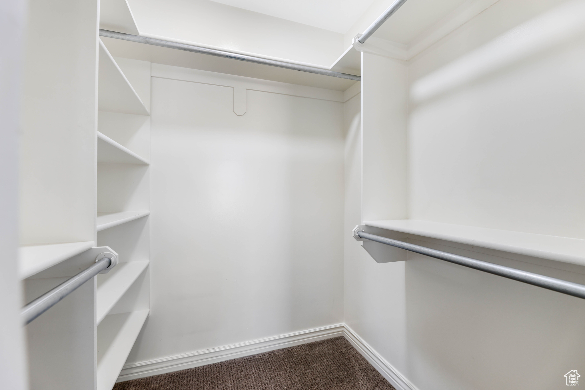 Walk in closet featuring carpet