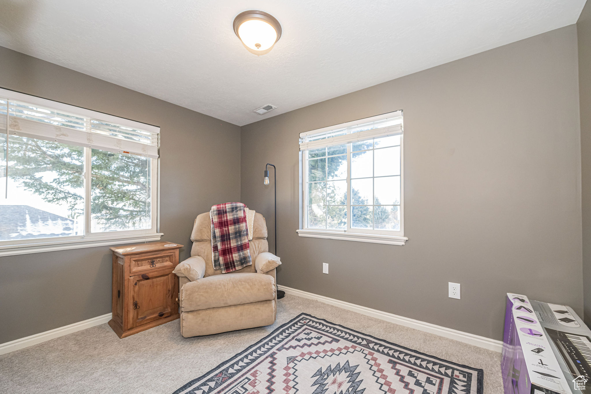 Living area with light colored carpet