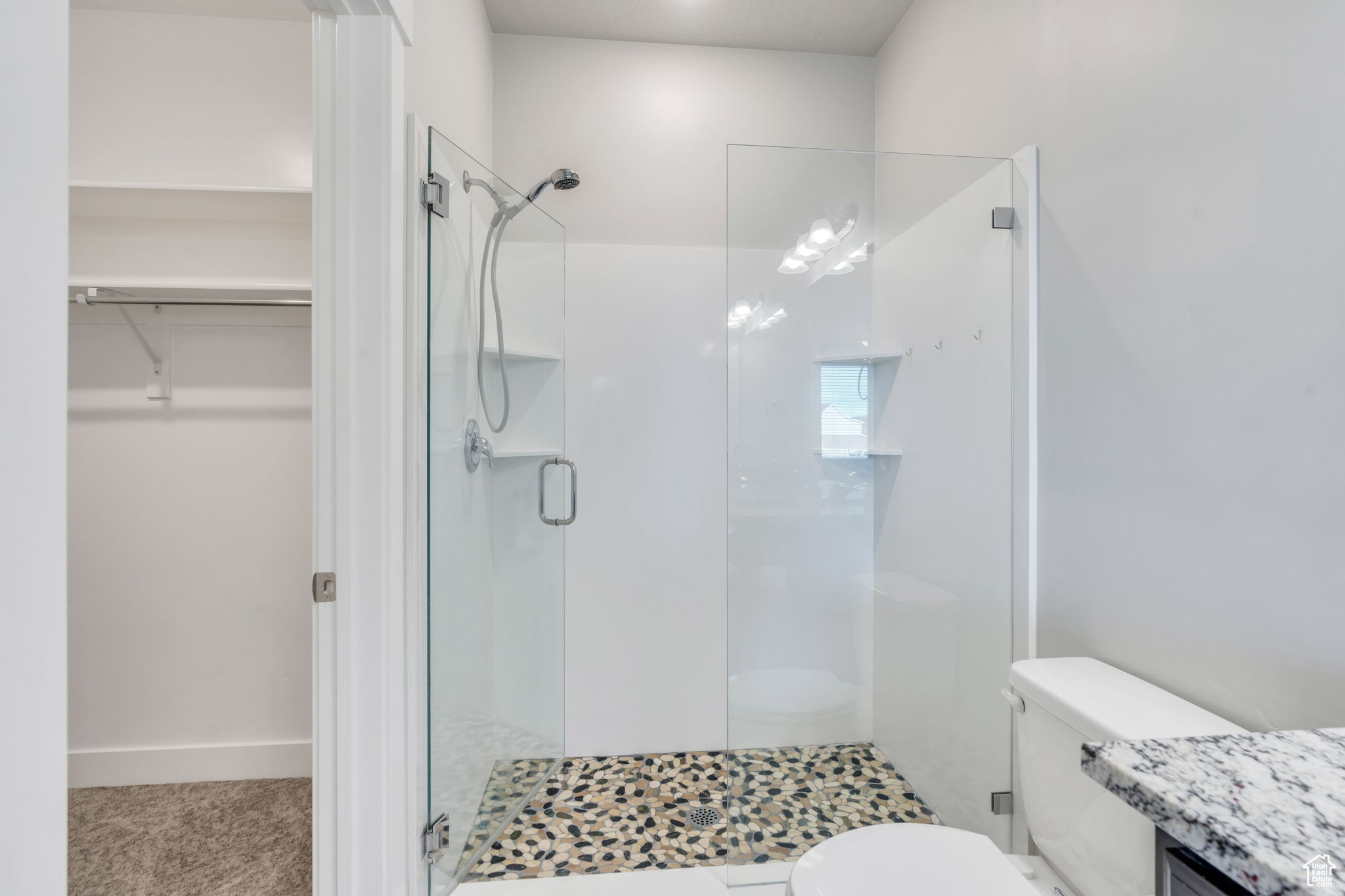 Bathroom with toilet and a shower with shower door