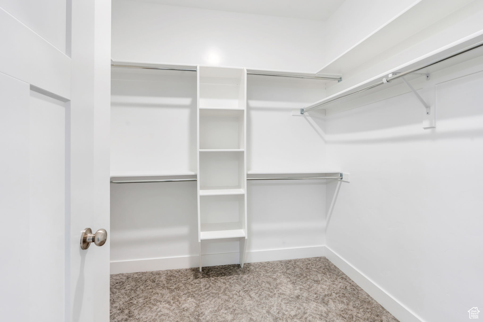 Spacious closet featuring light carpet