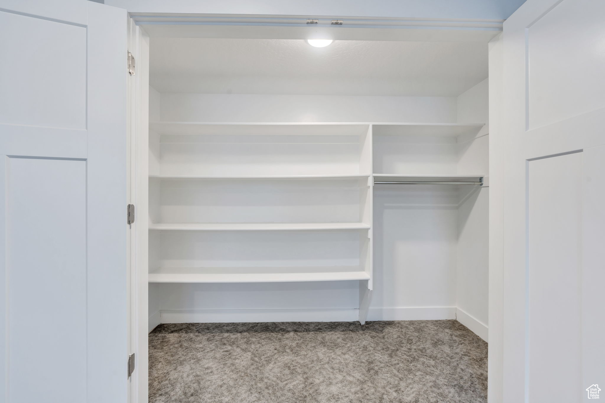 Spacious closet featuring light carpet