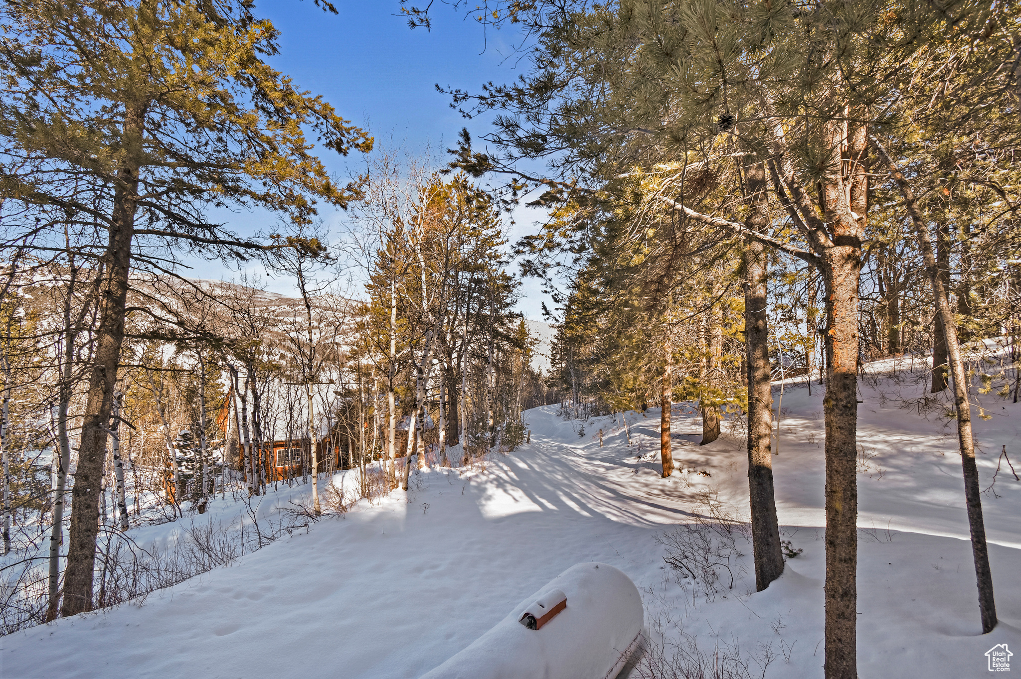 View of yard layered in snow