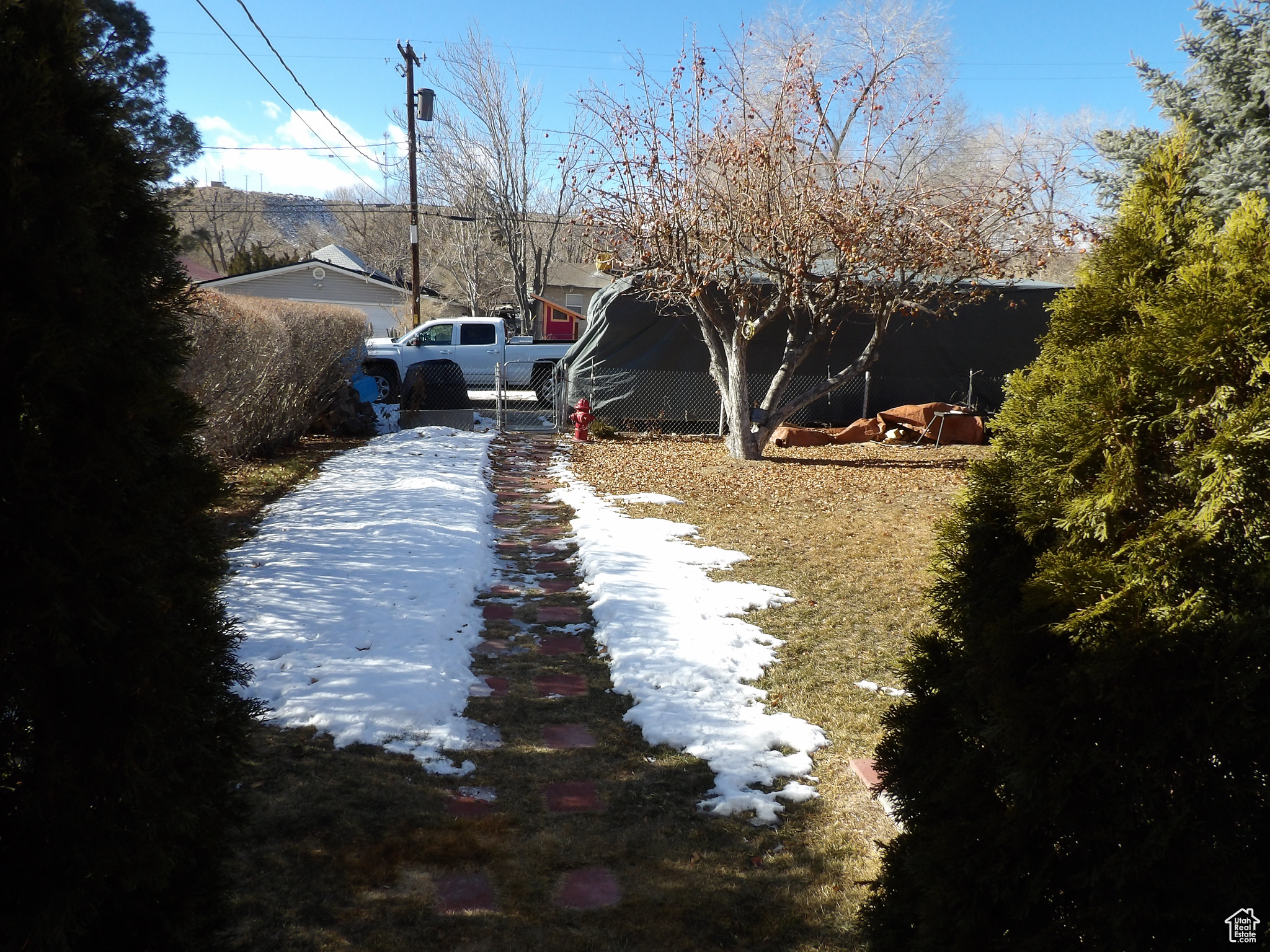 View of backyard.