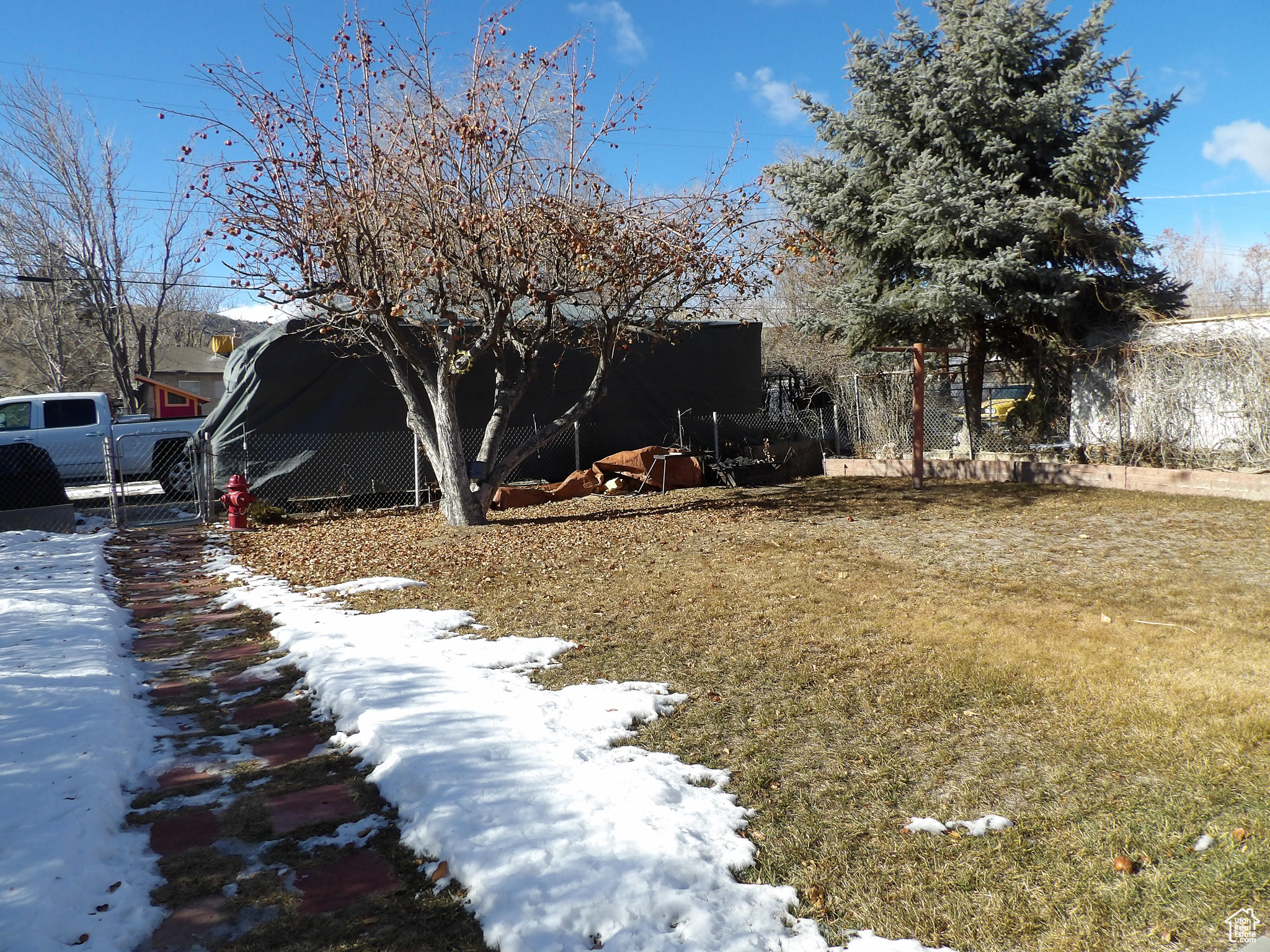 View of backyard.