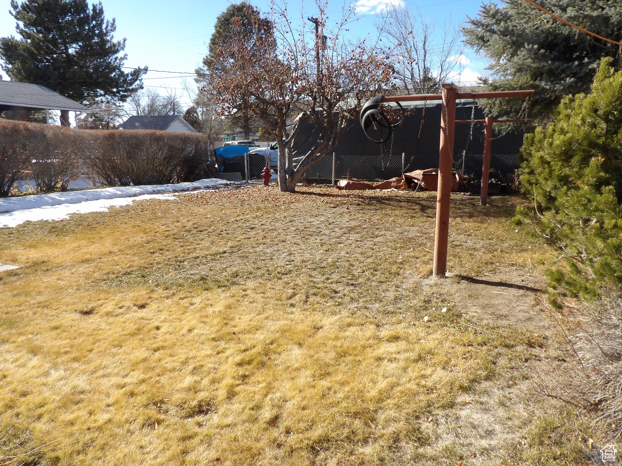 View of backyard