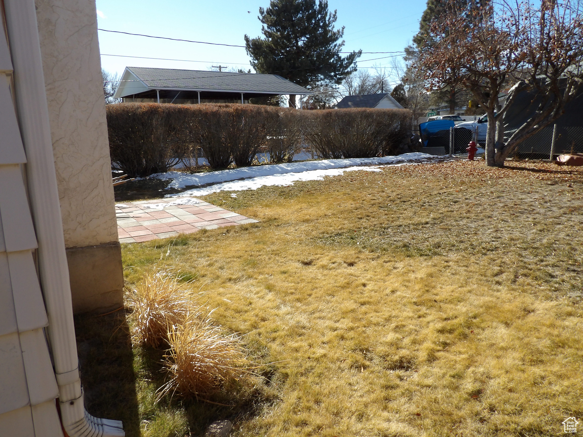 View of backyard