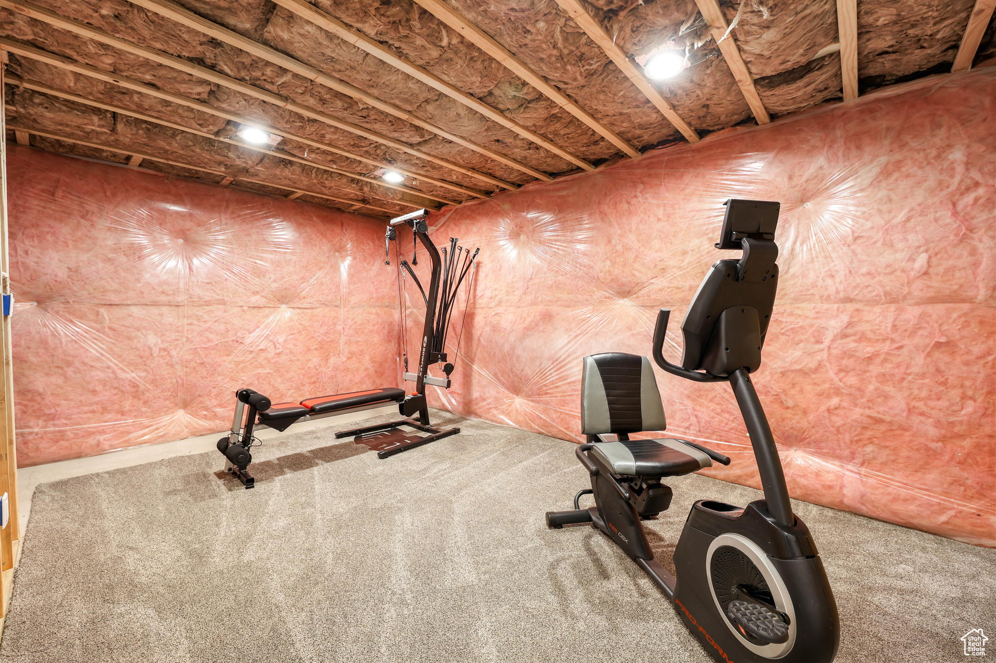 Workout area featuring carpet