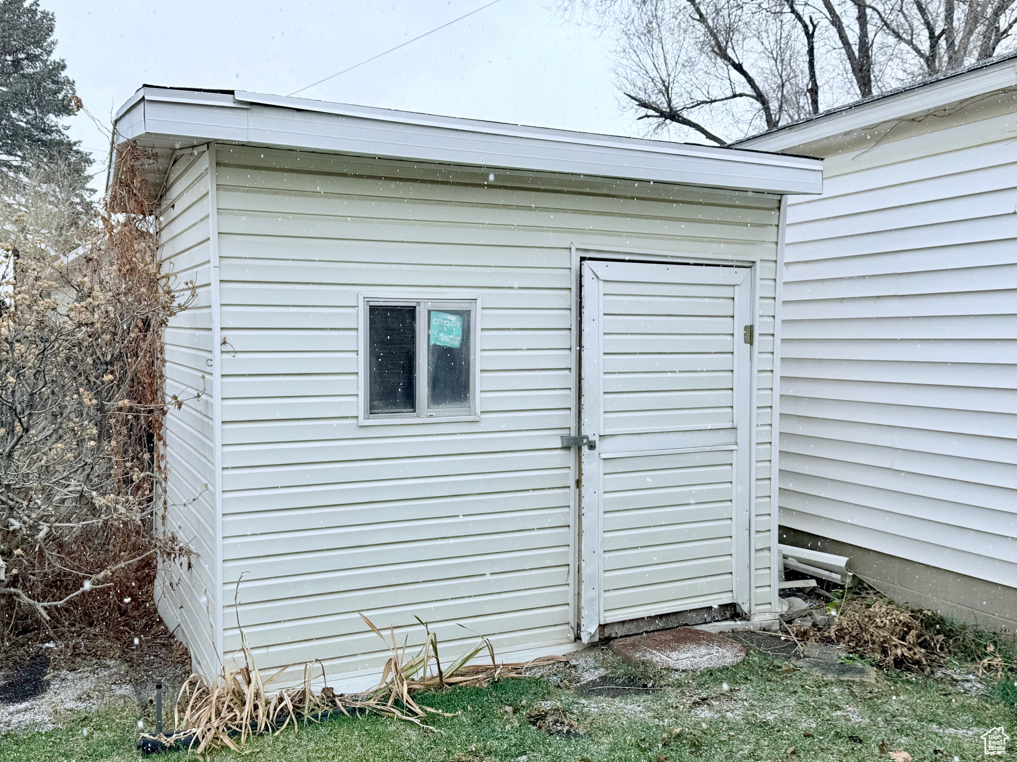 Shed