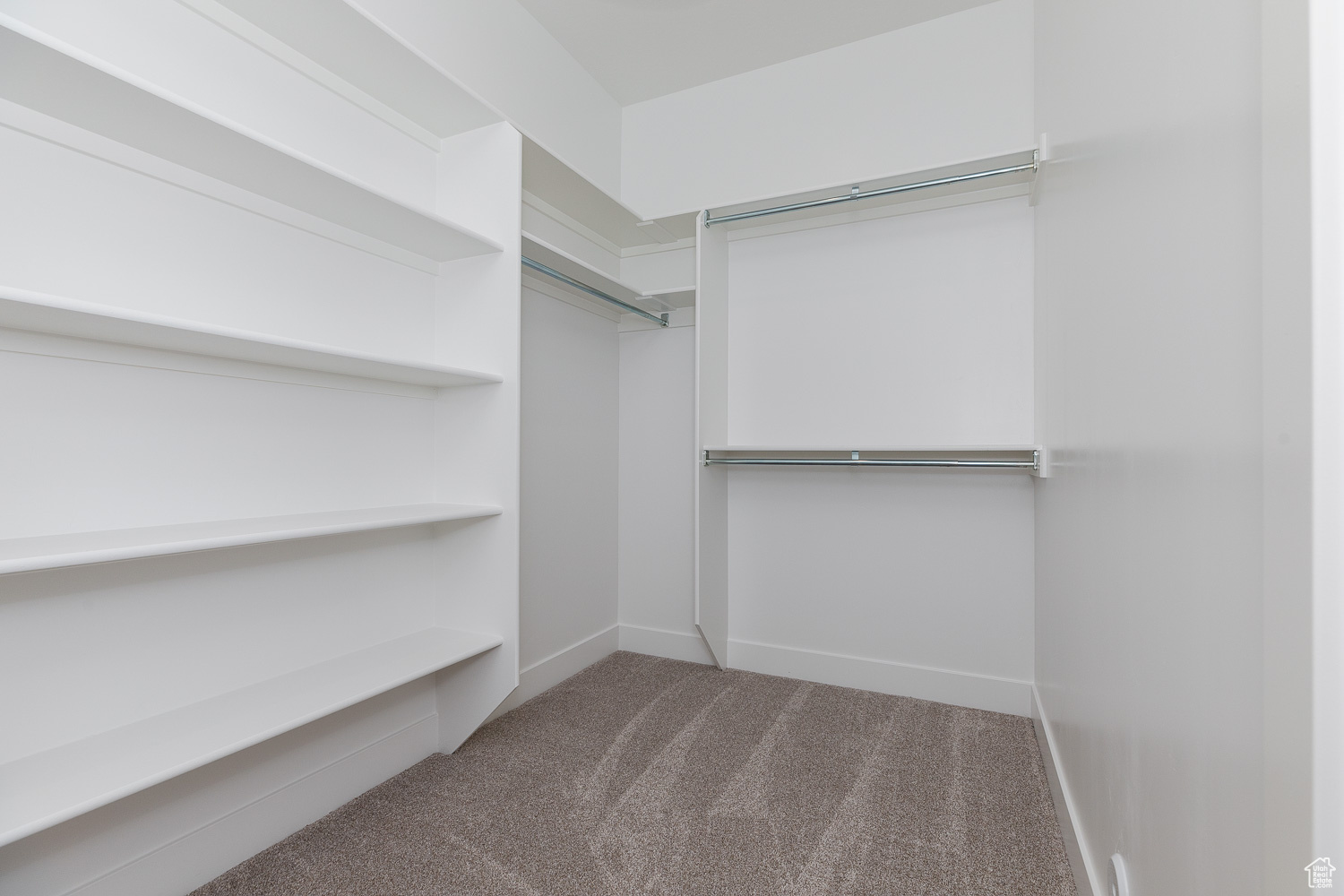 Spacious closet featuring carpet flooring