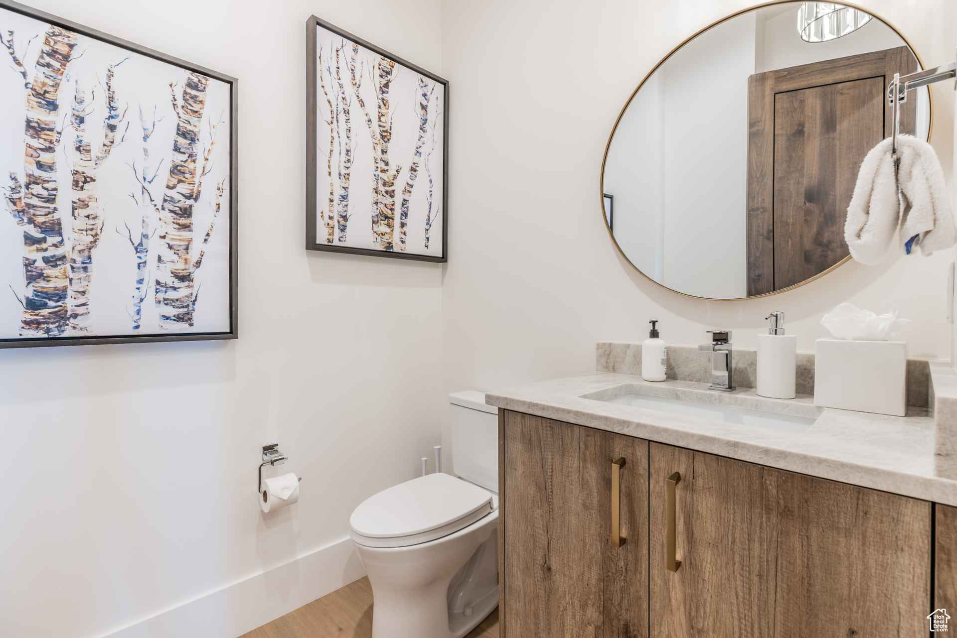 Bathroom with vanity, toilet, and wood-type flooring