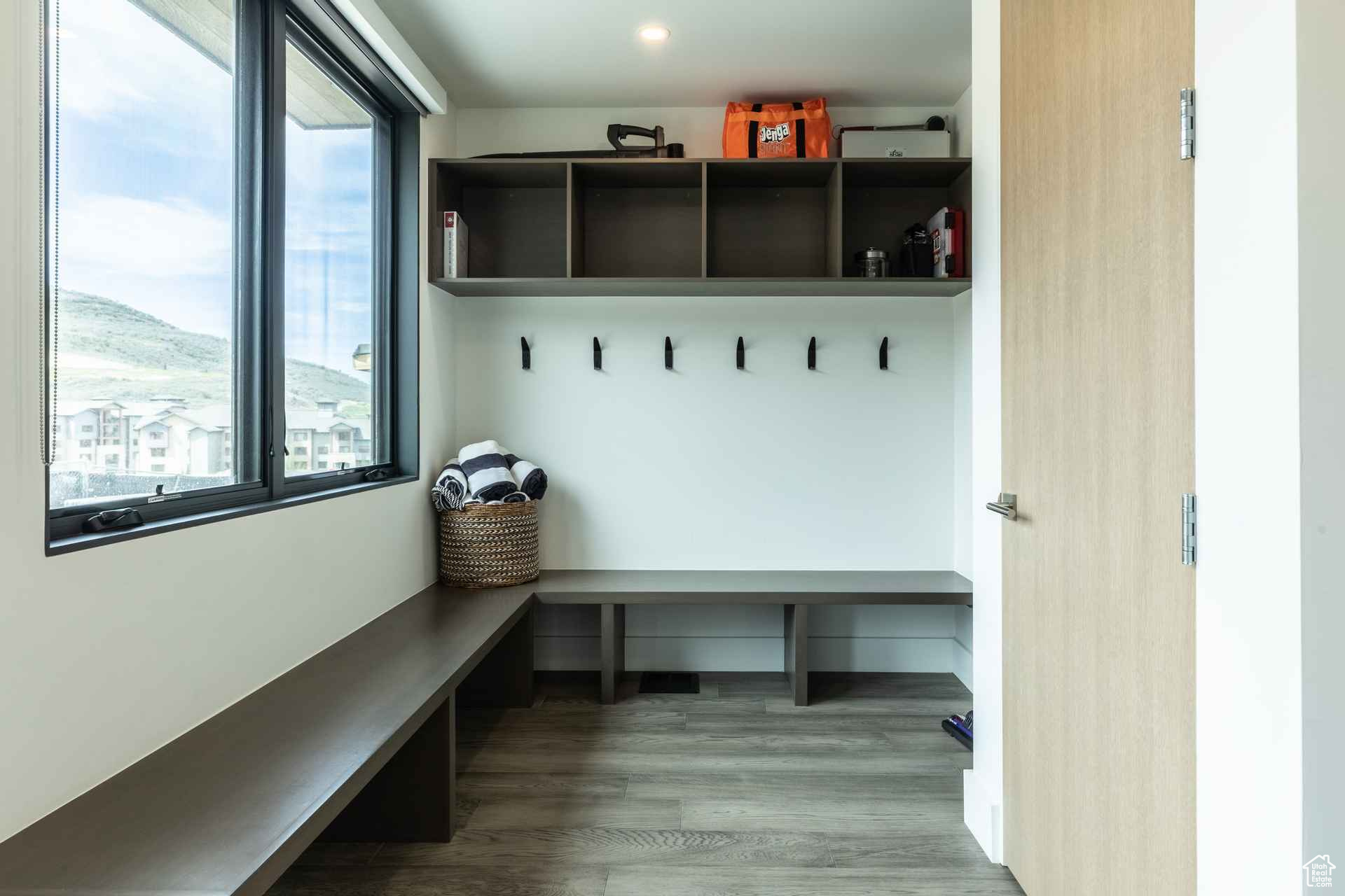 Mudroom featuring hardwood / wood-style floors, a mountain view, and a wealth of natural light