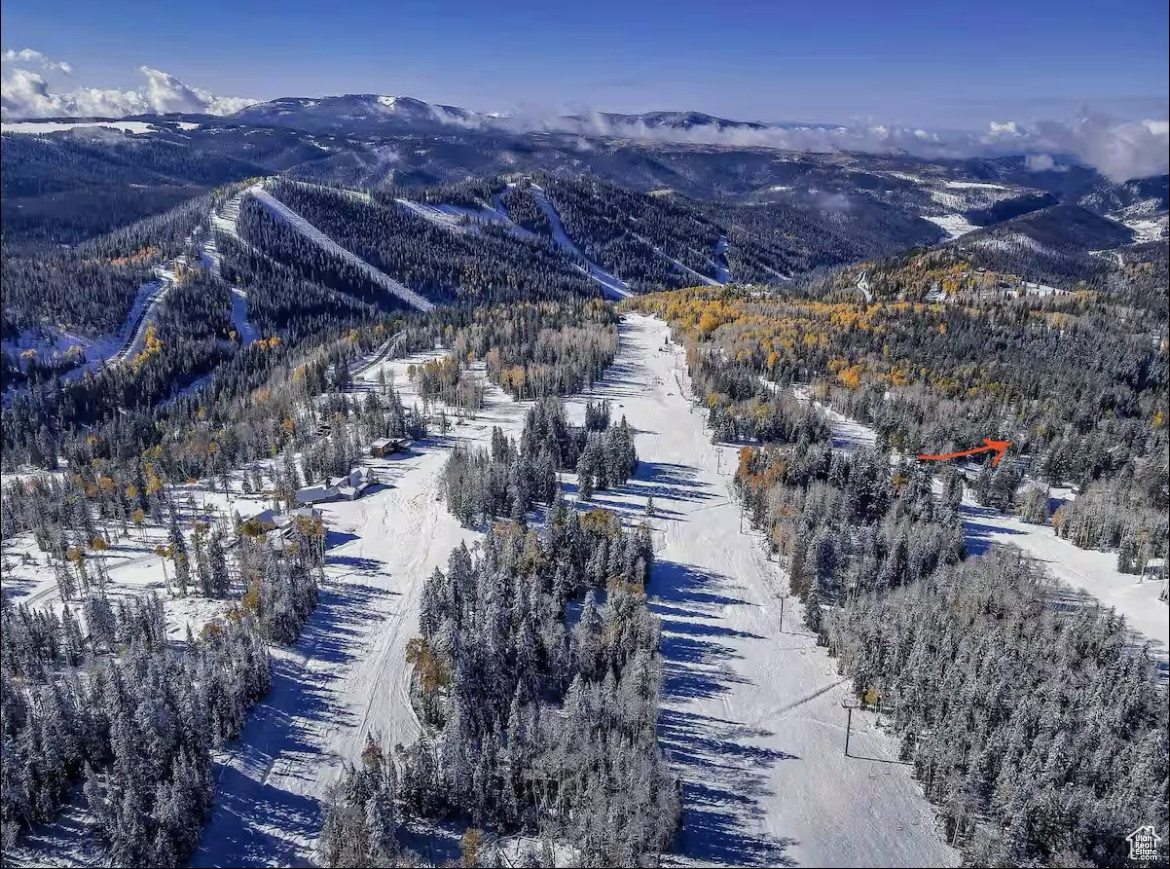 Snowy aerial view with a mountain view