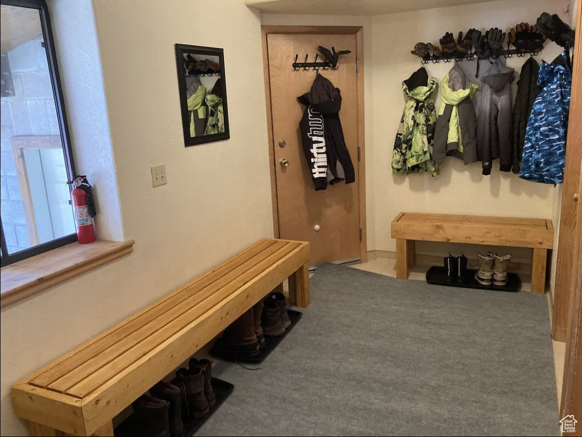 Mudroom featuring carpet flooring
