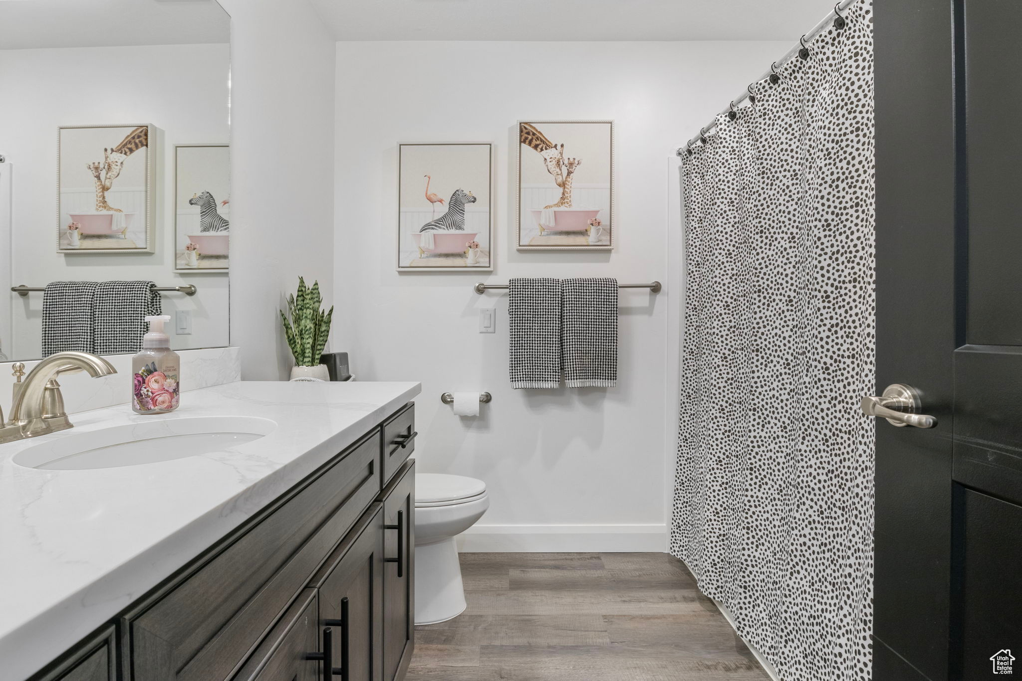 Bathroom with vanity, toilet, and wood-type flooring