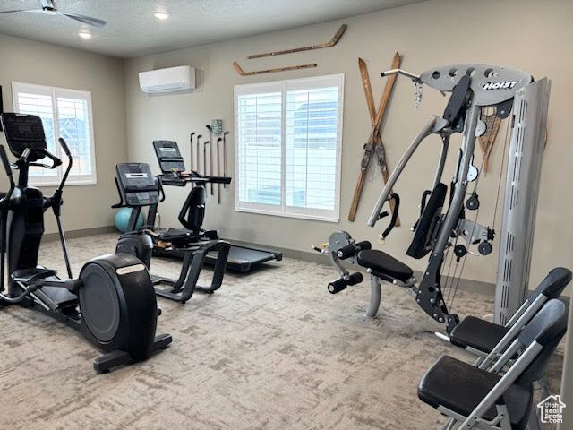Clubhouse Gym