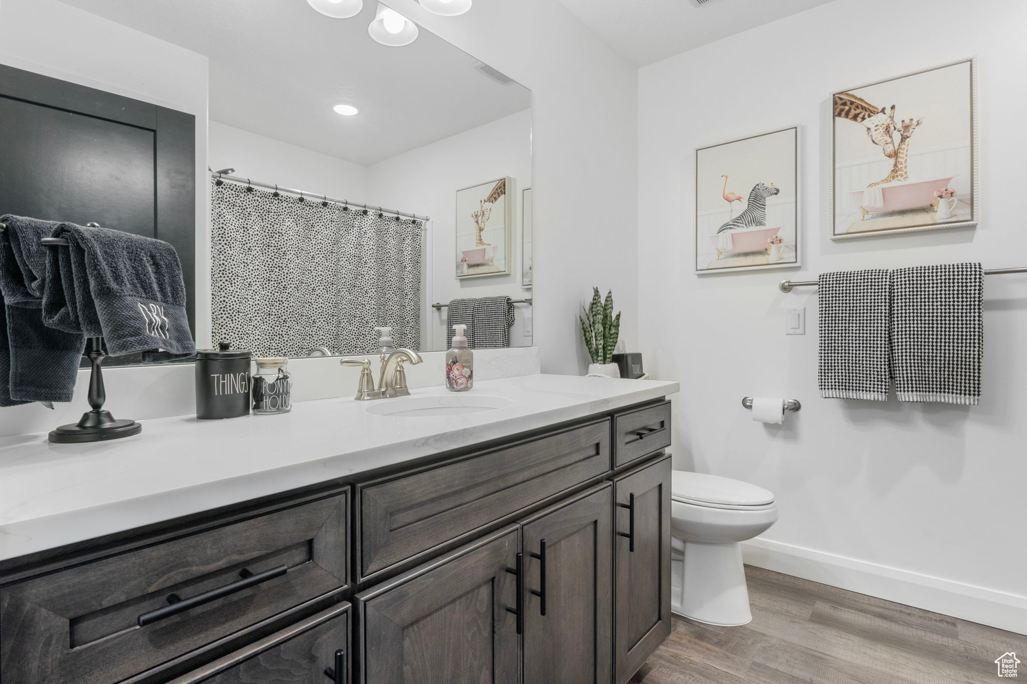 Bathroom featuring hardwood / wood-style floors, vanity, and toilet