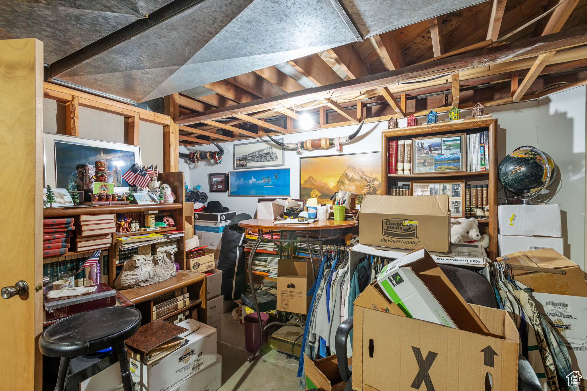 Basement storage room