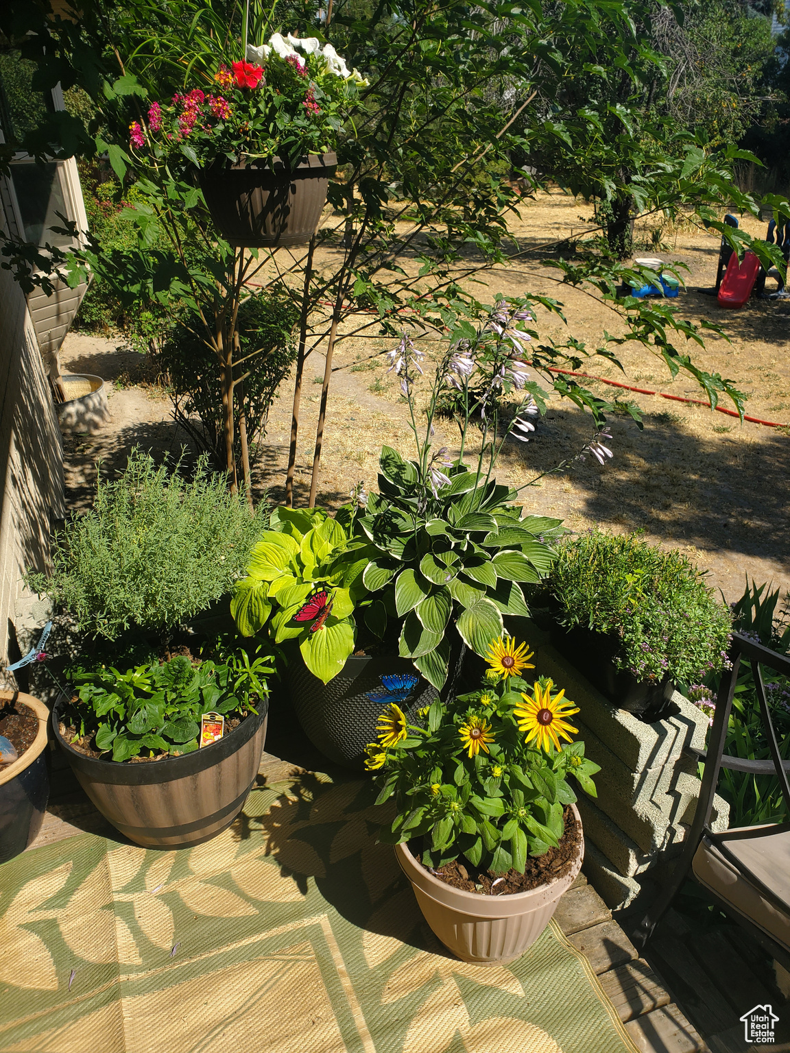 View of patio in the summer