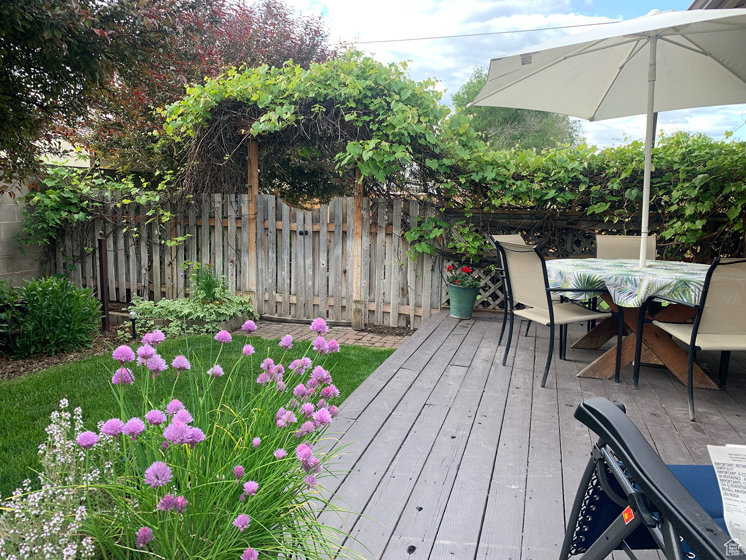 Yard/Deck